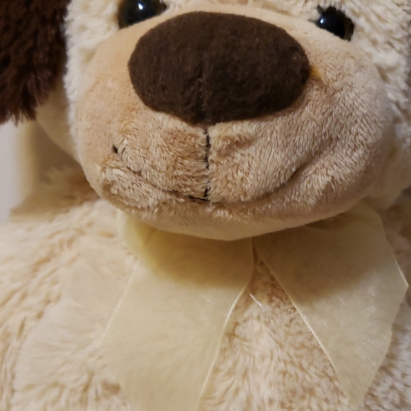 Bear - Picture 7 of 8